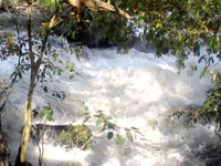 Sathodi Falls and Magoda